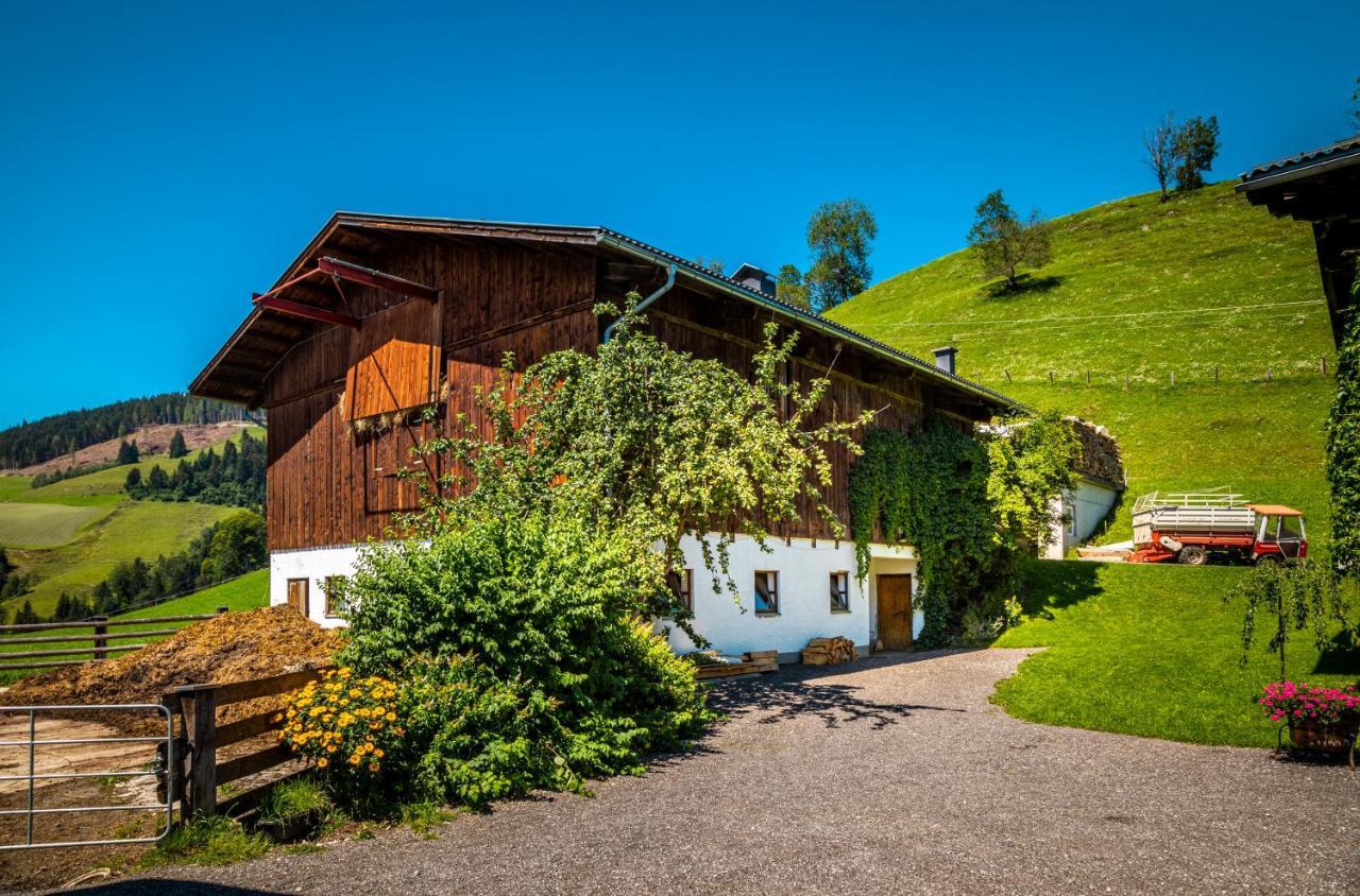 Вілла Haus Lindbichl Санкт-Йоганн-ім-Понгау Екстер'єр фото